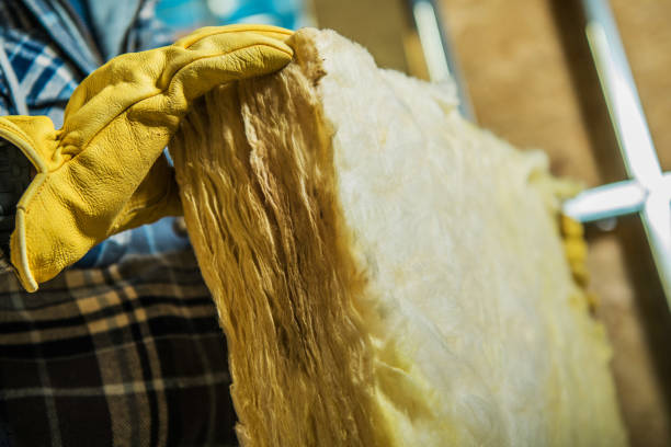 Best Insulation Contractors for Homes  in Thunder Mountain, NM